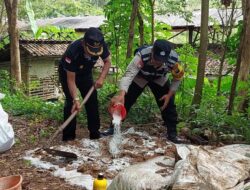 Pak Bhabin Latip Bersama Kades Gasang Kompak Sulap Kotoran Ayam Jadi Pupuk Organik Berkualitas Super