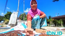 Sriyatun, Petani di Pacitan yang tengah menjemur cengkeh untuk disiapkan agar segera bisa dijual. (Foto: Al Ahmadi/BeritaIDN)