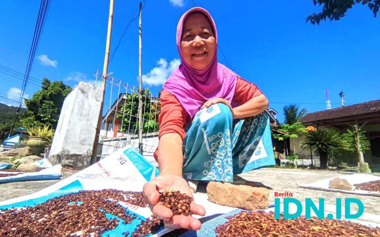 Sriyatun, Petani di Pacitan yang tengah menjemur cengkeh untuk disiapkan agar segera bisa dijual. (Foto: Al Ahmadi/BeritaIDN)