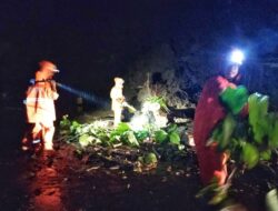 Tanah Retak hingga Longsor Melanda Pacitan