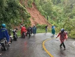 Pohon Tumbang di Pacitan, Pengendara Motor Jadi Korban