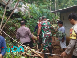 Kabupaten Pacitan Terancam Tanah Gerak