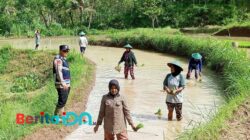 Bhabinkamtibmas Kalikuning Dukung Ketahanan Pangan dengan Sambangi Petani di Pacitan