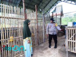 Polres Pacitan Dukung Ketahanan Pangan Lewat Monitoring Peternakan Ayam Petelur di Desa Binaan