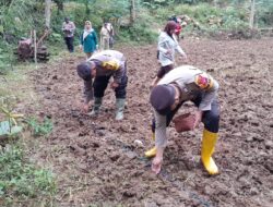 Polres Pacitan Dukung Ketahanan Pangan Lewat Penanaman Jagung di Desa Jatigunung