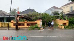 Rumah Warga Pacitan Tertimpa Pohon Tumbang