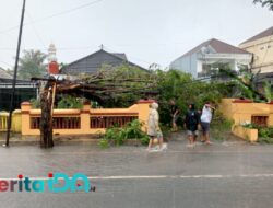 Rumah Warga Pacitan Tertimpa Pohon Tumbang