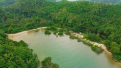 Pantai Teban Suguhkan Surga Tersembunyi di Pacitan