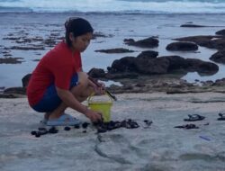 Pacitan Punya Pantai M-Blue, Cantik dan Masih Perawan