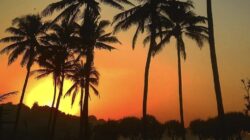 Melihat Keindahan Sunset di Pantai Srau Pacitan, Surga Tiga Panorama di Ujung Selatan Pacitan