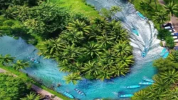 Yuk Datang ke Pacitan, ada Sungai Amazon yang Mempesona