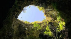 Luweng Ombo Tawarkan Surga Penjelajah Gua Vertikal di Pacitan