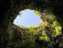 Luweng Ombo Tawarkan Surga Penjelajah Gua Vertikal di Pacitan