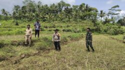 3 Pilar Desa Kalikuning Pacitan Pasang Patok Tanah untuk Pembangunan Koperasi Merah Putih