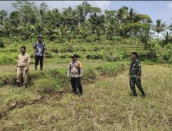 3 Pilar Desa Kalikuning Pacitan Pasang Patok Tanah untuk Pembangunan Koperasi Merah Putih