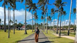 Keindahan Pantai Srau, Destinasi Wajib Dikunjungi saat Liburan ke Pacitan