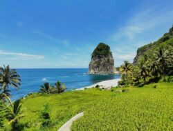 Pesona Pantai Pangasan Pacitan, Perpaduan Sawah, Tebing, dan Laut dalam Satu Panorama