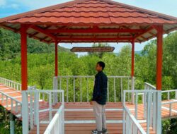 Watu Mejo Mangrove Park, Destinasi Edukasi Ramah Lingkungan di Pacitan