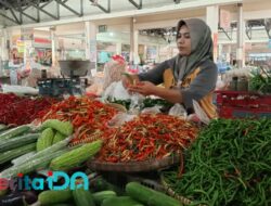 Harga Cabai Rawit di Pacitan Masih Mahal, Beras Biasa Saja