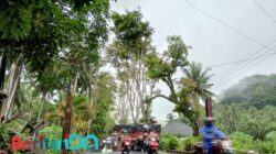 Cegah Truk Bandel, Dishub Pacitan Usulkan Anggaran Portal Jalur Sedeng Rp75 Juta