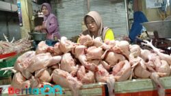 Harga Ayam Potong di Pasar Arjowinangun Pacitan Meroket Jelang Nataru, Pedagang Menjerit