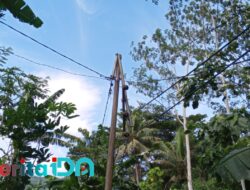 Tiga Tiang Listrik di Sambong Patah, Warga Keluhkan Lambannya Respons PLN Pacitan