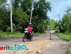 Tanam Pisang di Jalan Rusak, Warga Sentil Pemkab Pacitan agar Segera Bertindak