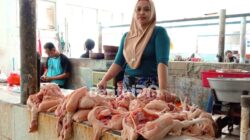 Imbas MBG di Tengah Ramadan, Harga Ayam Potong Pacitan Tembus Rp45 Ribu per Kilo