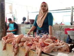 Imbas MBG di Tengah Ramadan, Harga Ayam Potong Pacitan Tembus Rp45 Ribu per Kilo
