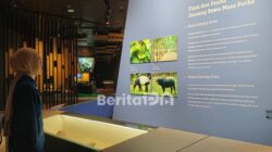 Museum Song Terus Pacitan Jadi Pilihan Wisata Edukasi yang Layak Dicoba saat Lebaran 2026