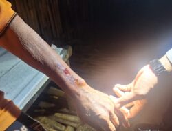 Lansia di Arjosari Pacitan Luka-Luka, Dua Pelaku Curas Kabur