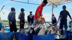 Target PAD Perikanan Pacitan Baru Capai 3,91 Persen