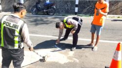 Nyalip Truk di Jalur Alternatif Pacitan-Pringkuku, Pemotor Tewas Usai Adu Banteng dengan Scoopy