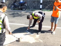 Nyalip Truk di Jalur Alternatif Pacitan-Pringkuku, Pemotor Tewas Usai Adu Banteng dengan Scoopy