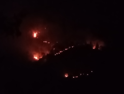 Gunung Nogo di Pacitan Terbakar, Diduga Dipicu Pembakaran oleh Warga