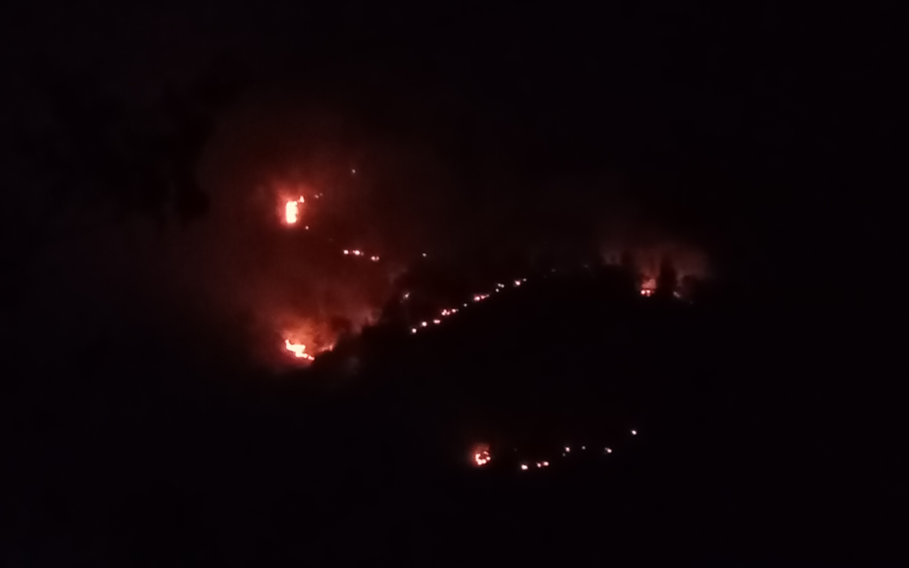 Tangkapan layar video kebakaran hutan di kawasan Gunung Nogo, Kecamatan Arjosari, Pacitan, Selasa (1/9/2026) malam. (Foto: Istimewa)