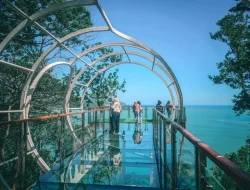 Mentari Hill, Pesona Alam Asri yang Menawarkan Ketenangan di Tengah Keindahan Pacitan