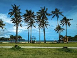 Pantai Srau Pacitan, Surga Camping dengan Panorama Alam yang Masih Alami